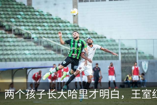两个孩子长大哈里才明白，王室红利对他们有多重要，可惜有点晚了