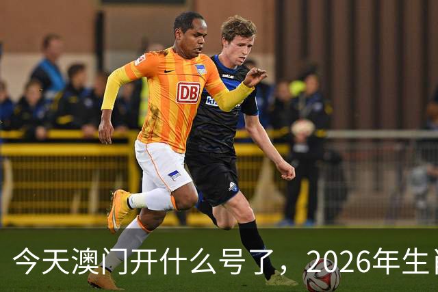 今天澳门开什么号了，2026年生肖码图，四不像正版49跑狗图图库图片大全，第291期新六合彩买什么生肖