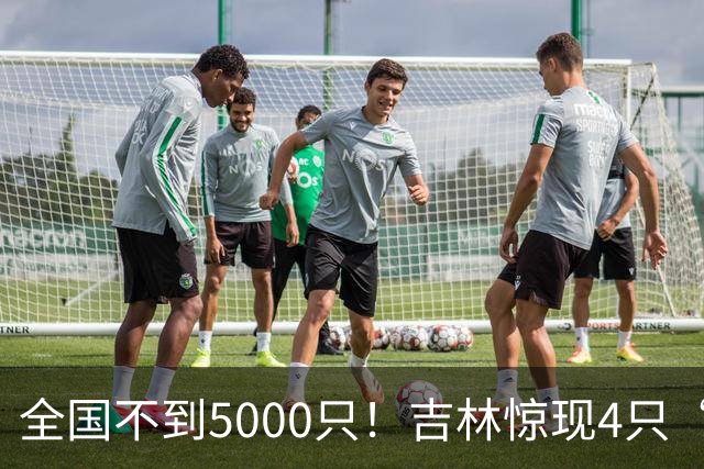 全国不到5000只！吉林惊现4只“四凶之首”，看懵30年老手！