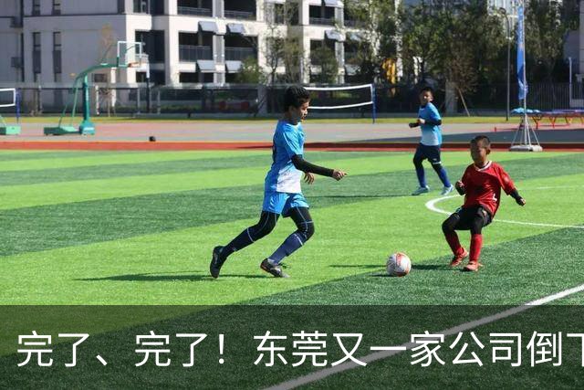 完了、完了！东莞又一家公司倒下了，失业了又能怎么办？