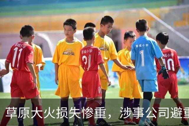 草原大火损失惨重，涉事公司避重就轻，蒙方怒了：有必要向日企索赔