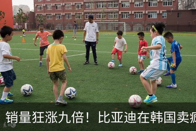 销量狂涨九倍！比亚迪在韩国卖疯了：反超沃尔沃、丰田