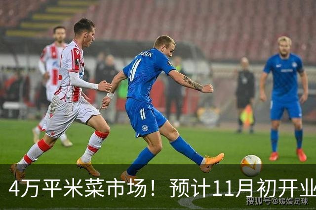 4万平米菜市场！预计11月初开业，还带小吃街。位置在这